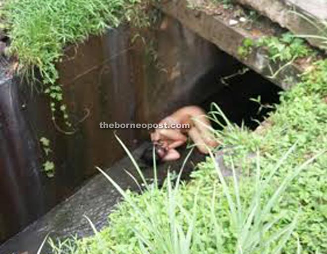 The woman as she was found in a drain near KDCA in Penampang yesterday.