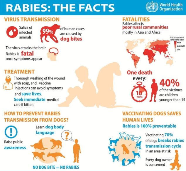 21-year-old man latest rabies victim – BorneoPost Online | Borneo