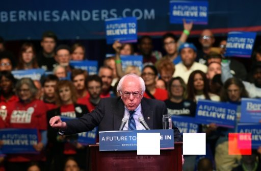 Sanders Wins West Virginia Democratic Primary Networks 