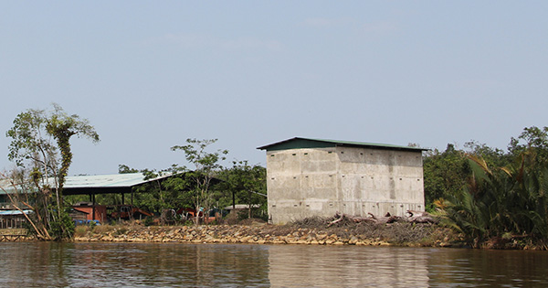 Bird deals nest house