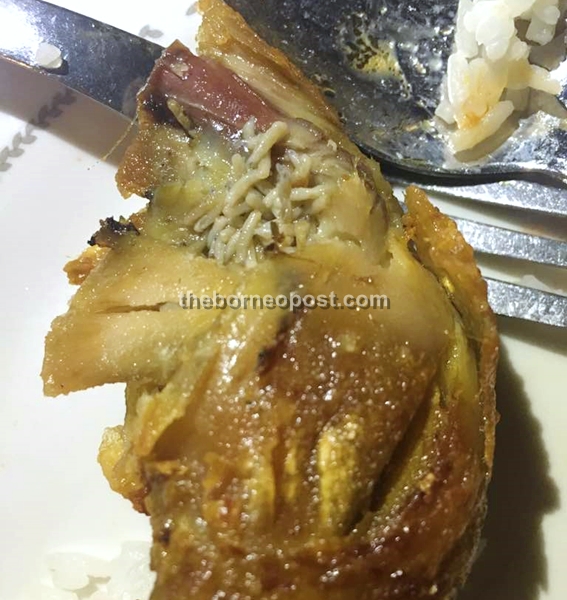 Reporter Horrified To Find Maggots Crawling In Chicken Dinner Borneo Post Online 9698