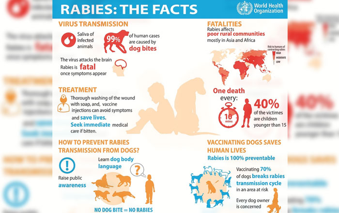 Addressing the rabies outbreak | Borneo Post Online