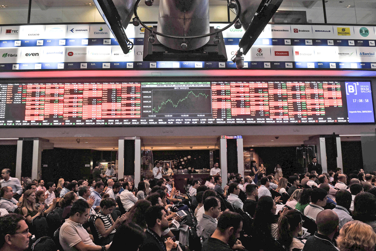 Brazillian Stock Exchange