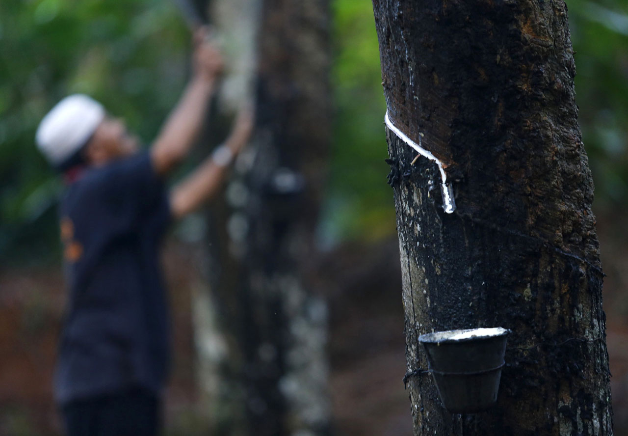 Rubber production incentive activated 