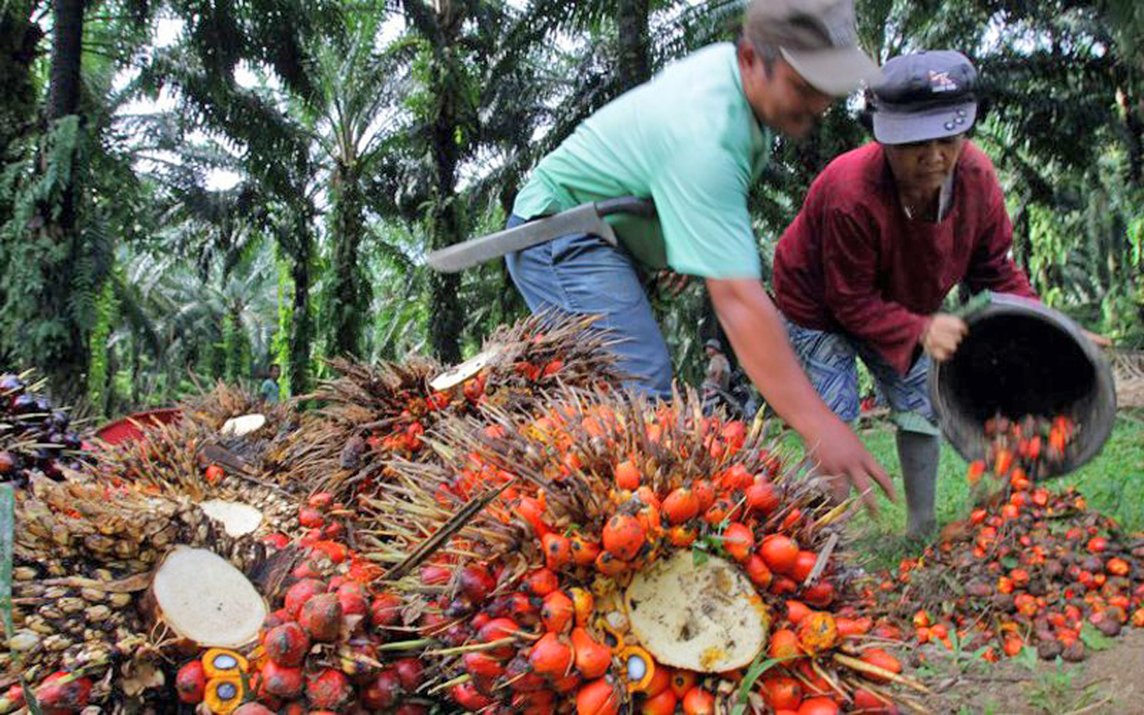 plantation sector in malaysia