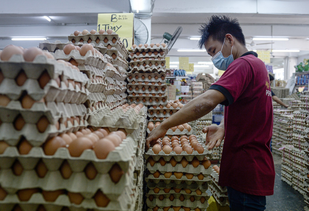 Ministry Egg shortage an ‘isolated issue’, supply will normalise after CNY