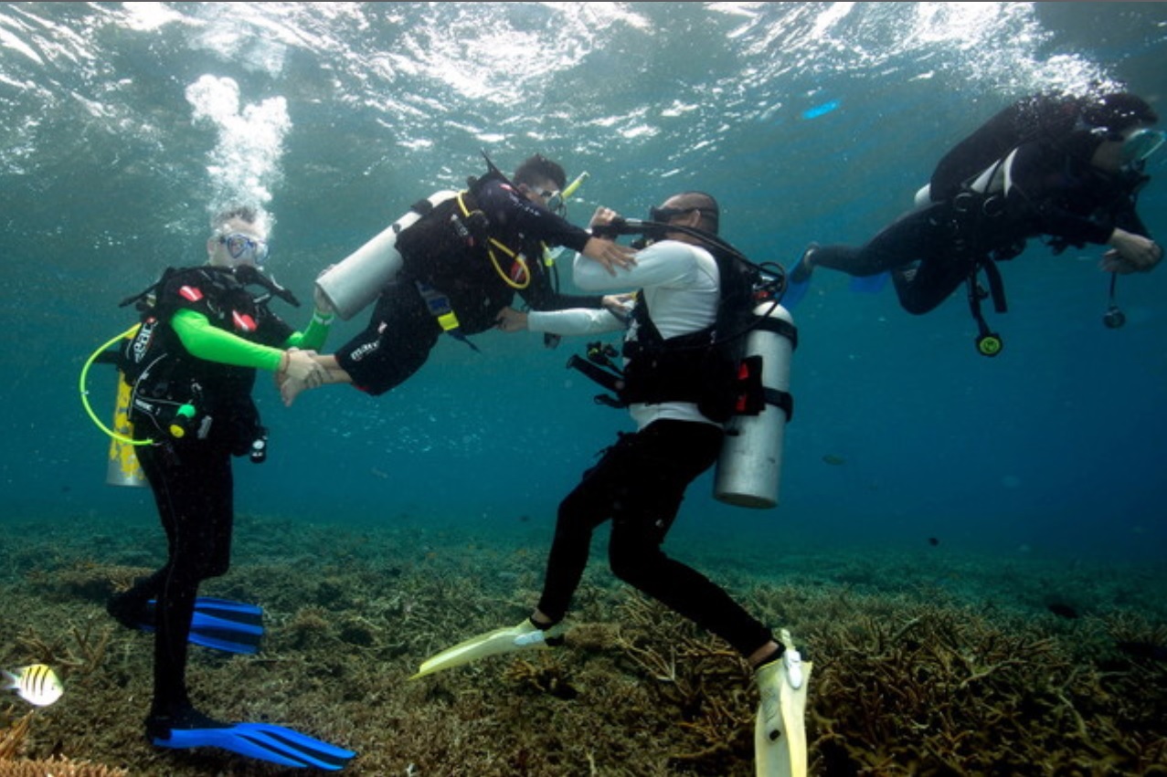 BERNAMA - SET UP SPECIAL AGENCY TO REGULATE SCUBA DIVING ACTIVITIES – EXPERT