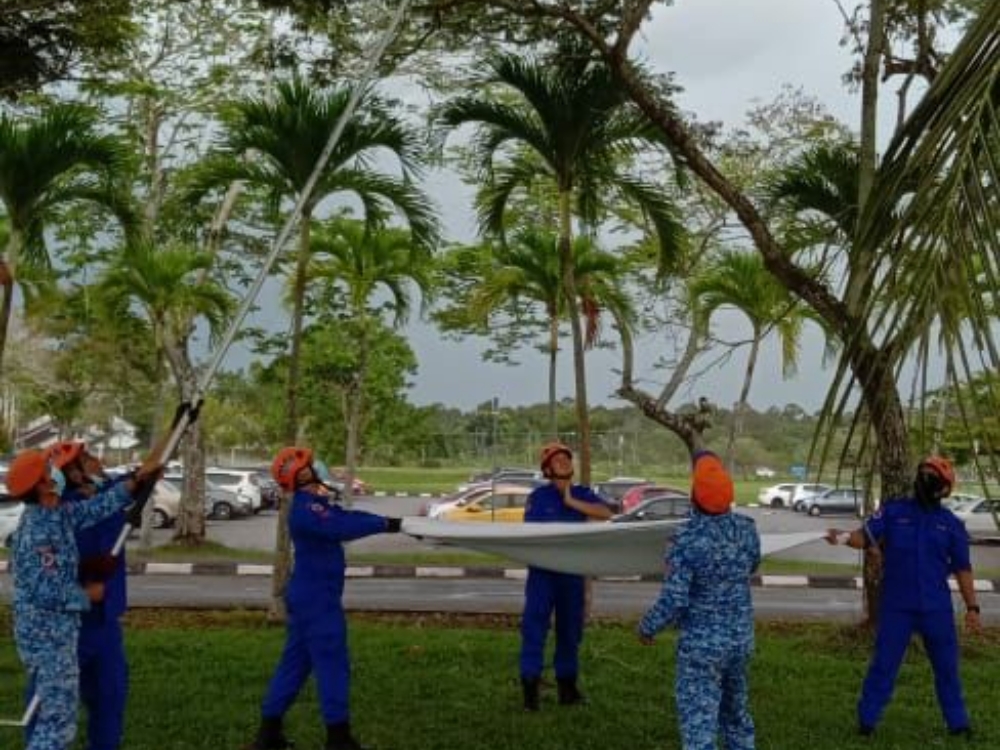 APM Miri saves cat trapped on tree