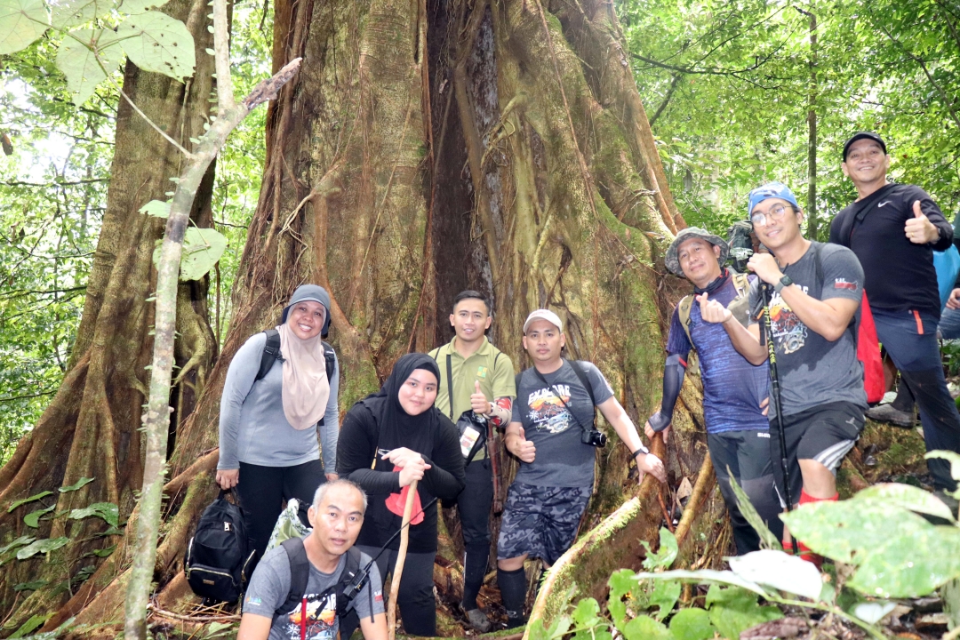 Bukit Mabong: Readiness, saleability for tourism