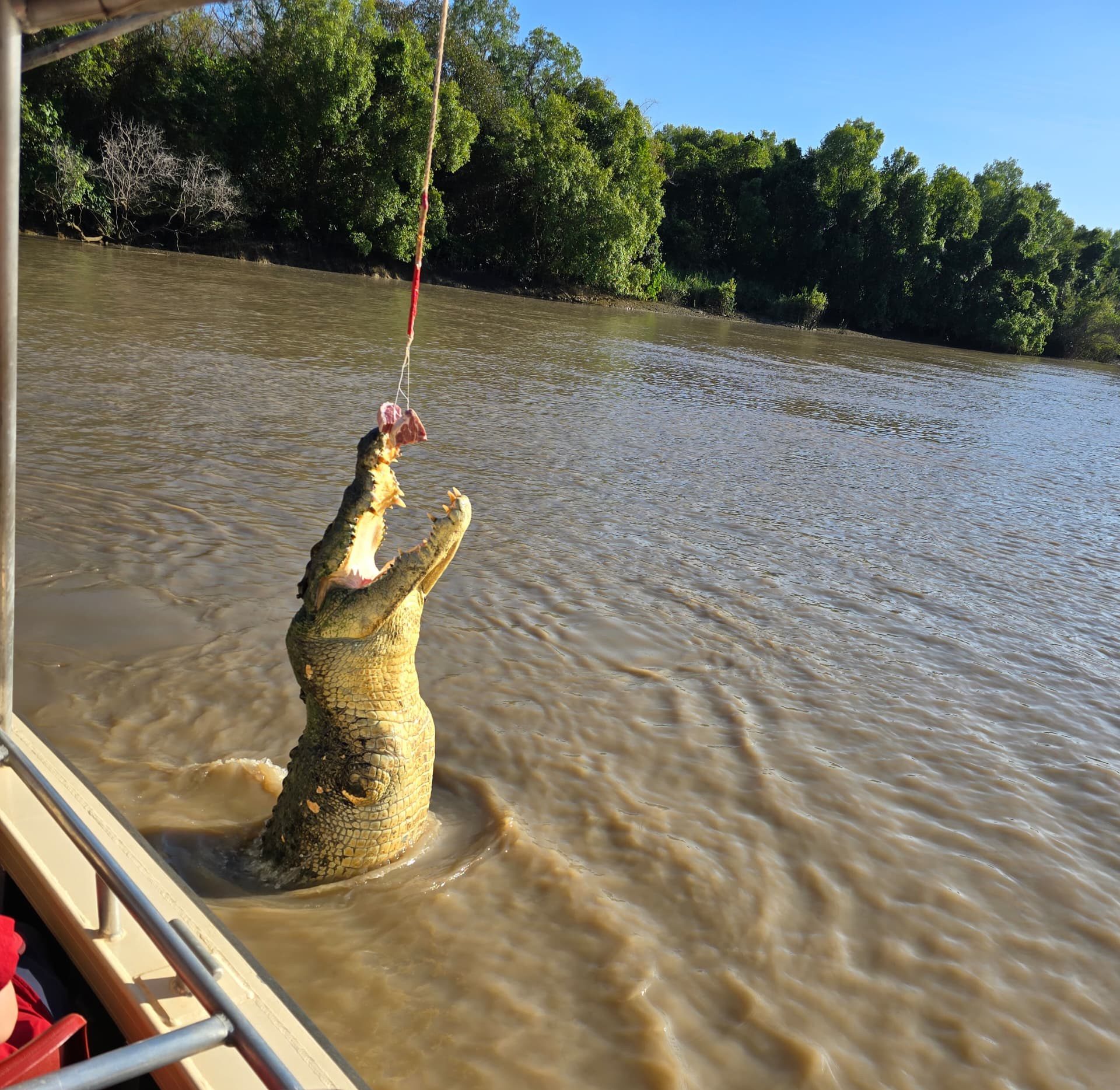 Sarawak delegation learns about crocodile management, ecotourism during benchmarking visit in Darwin